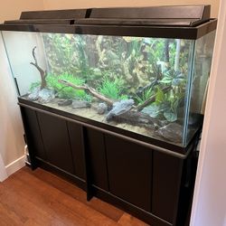 55G Fish Tank With Stand Lids Lights Heater Filter