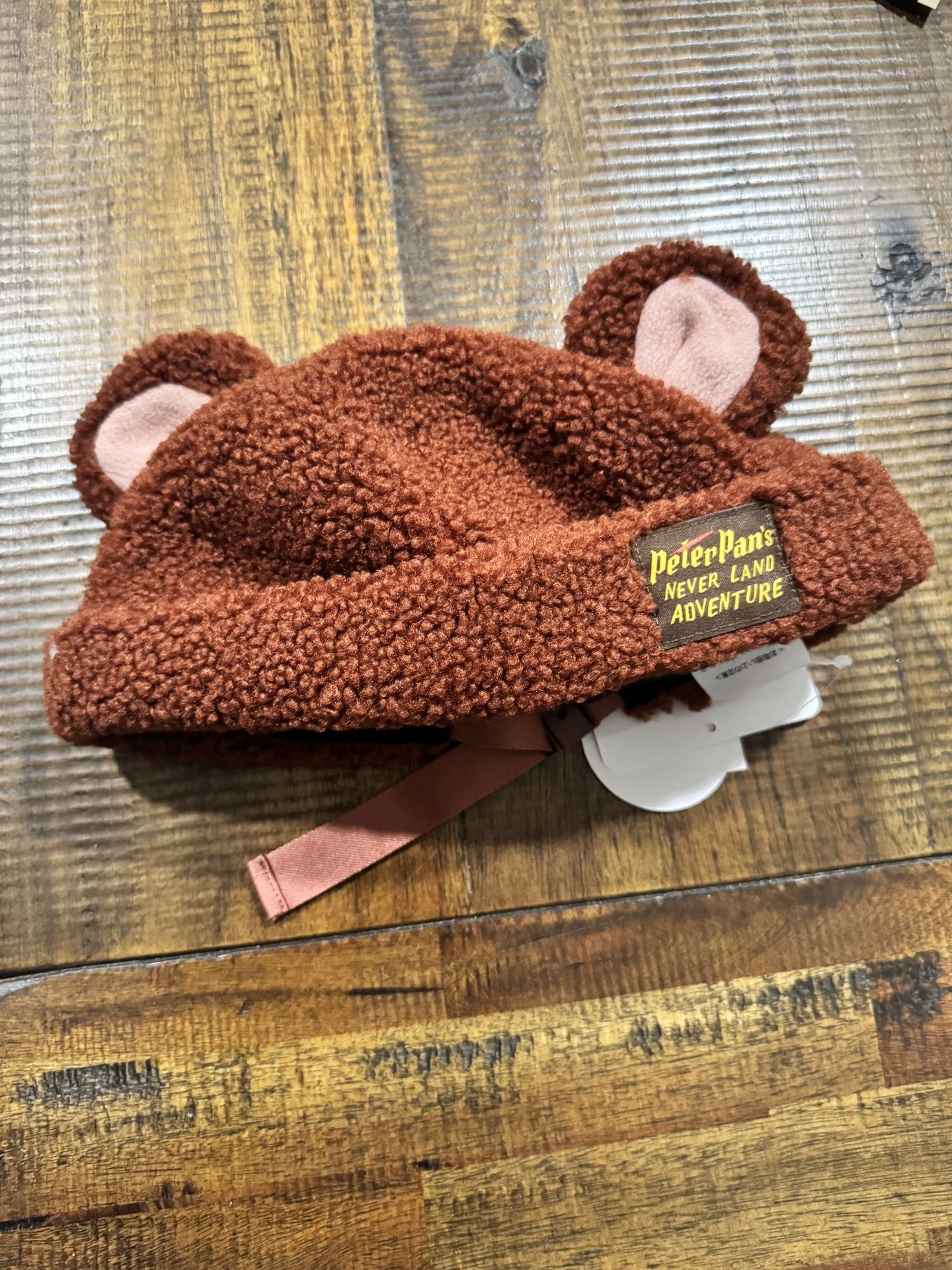 Peter Pan Lost Boys Disney Ears Tokyo Exclusive