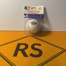 Vintage Team Logo Baseball Minnesota Twins