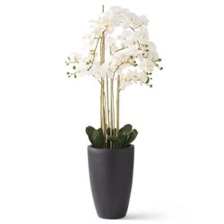 49.5" Orchid Decor 