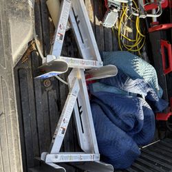 Set Of 2 Werner Ladder Jacks
