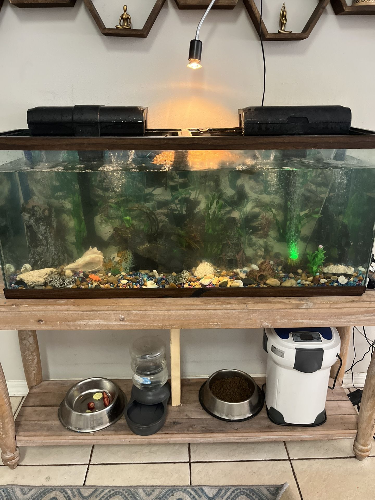 70 Gallon Fish Tank
