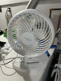 Woozoo Fan