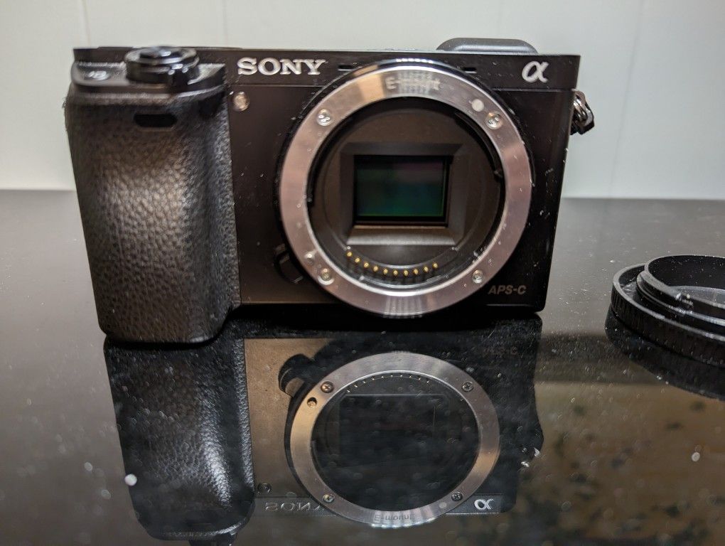 Sony A6000 Body & L-bracket