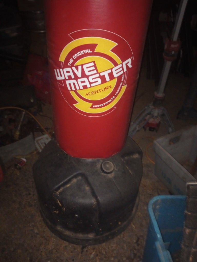 A Kicking And Punching Bag