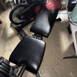 Bowflex SelectTech 1090 Dumbbells + Stand + Bowflex Adjustable Bench