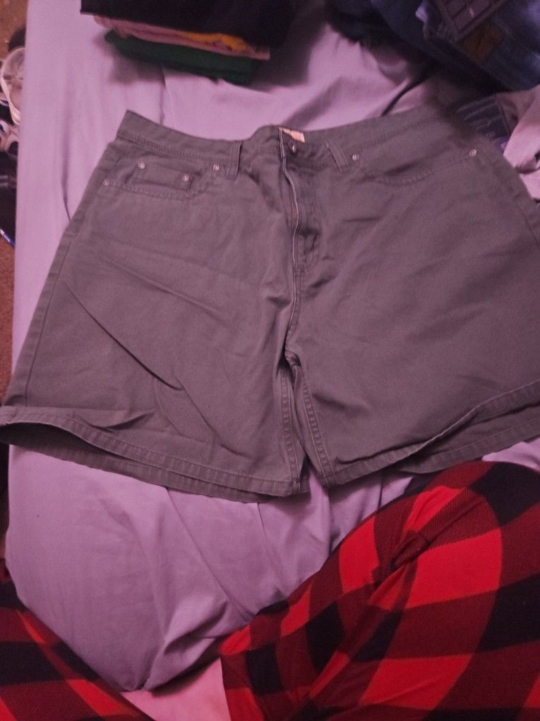 Woman's Shorts