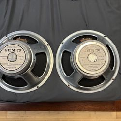 TWO - Celestion g12m-70 70 watt 15 (16) ohm speaker 