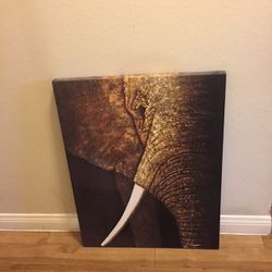 Canvass Picture Elephant