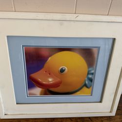 Aaron brother duck frame