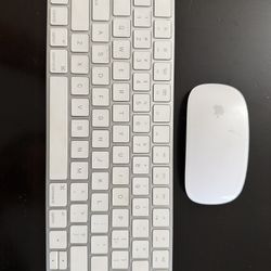 Apple Magic Keyboard & Magic Mouse