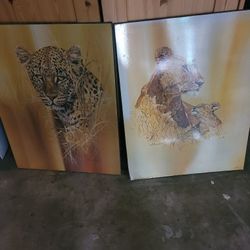 Cuadros  Con Imagen De Tigres