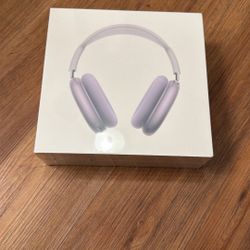 Apple Max Headset