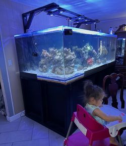 540 gallon