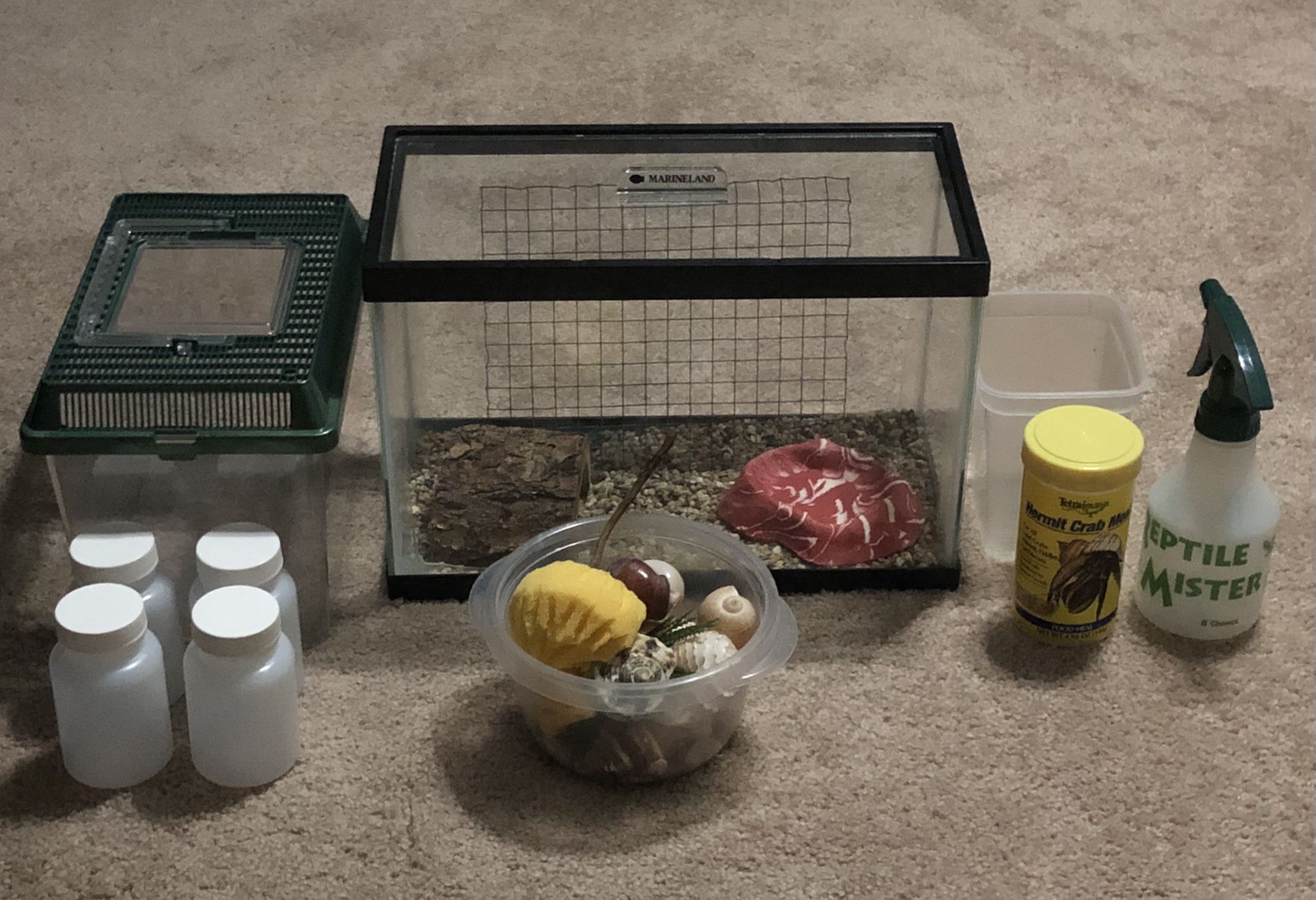 2.5 Gallon Marineland Aquarium/Terrarium & Accesories