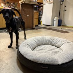Kirkland Fleece Dog Bed