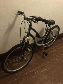 Schwinn skyliner 2025 comfort geometry