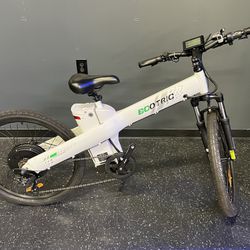 48 Volts 1000 Watts  ELECTRIC BICYCLE 