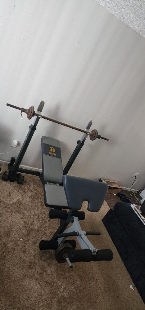 Weight Bench & Bar
