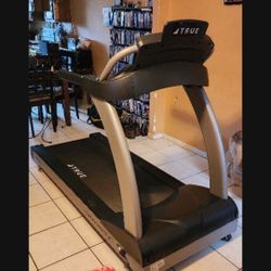 Tradmill True Performance 100 