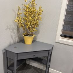 Corner Desk And Plant 