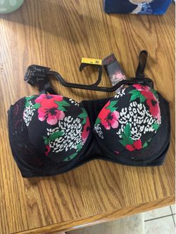 36c Bra