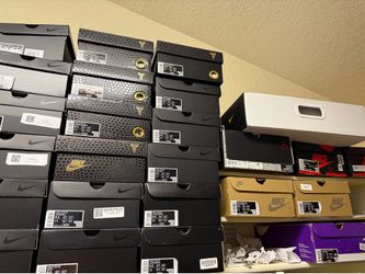 Jordan’s Kobe’s sb dunks Travis