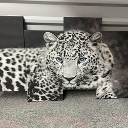 Leopard Print Canvas Picture