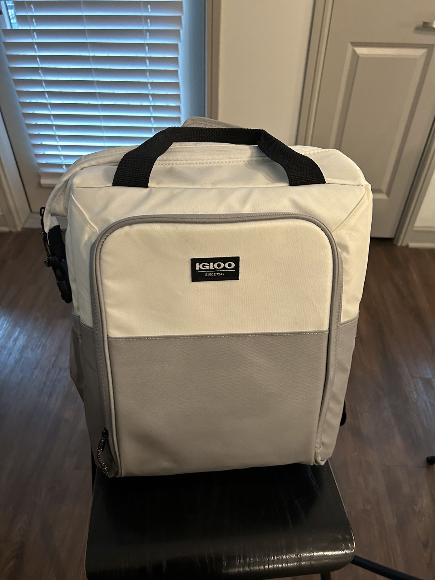 Igloo Backpack Cooler - $20 OBO
