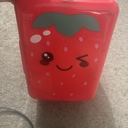 Mini Fridge !!
