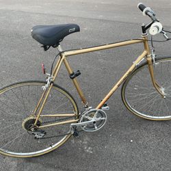 12 Speed Custom French Racer