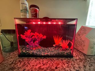 Top fin 1gal led fish tank