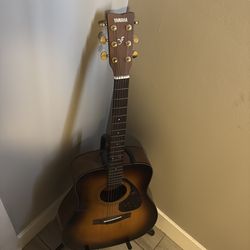 Yamaha Acoustic Guitar – Great for Beginners 🎸