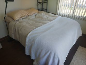 Beautyrest Elite Spa Queen Firm