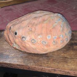 Large Mother Of Pearl Shell
