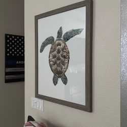 Turtle Image In Frame 