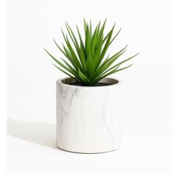 Farmhouse Faux Plant & Mango Wood Pedestal Stand – Set for Home or Office Decor