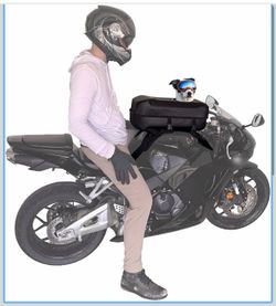 Motorcycle Dog Carrier