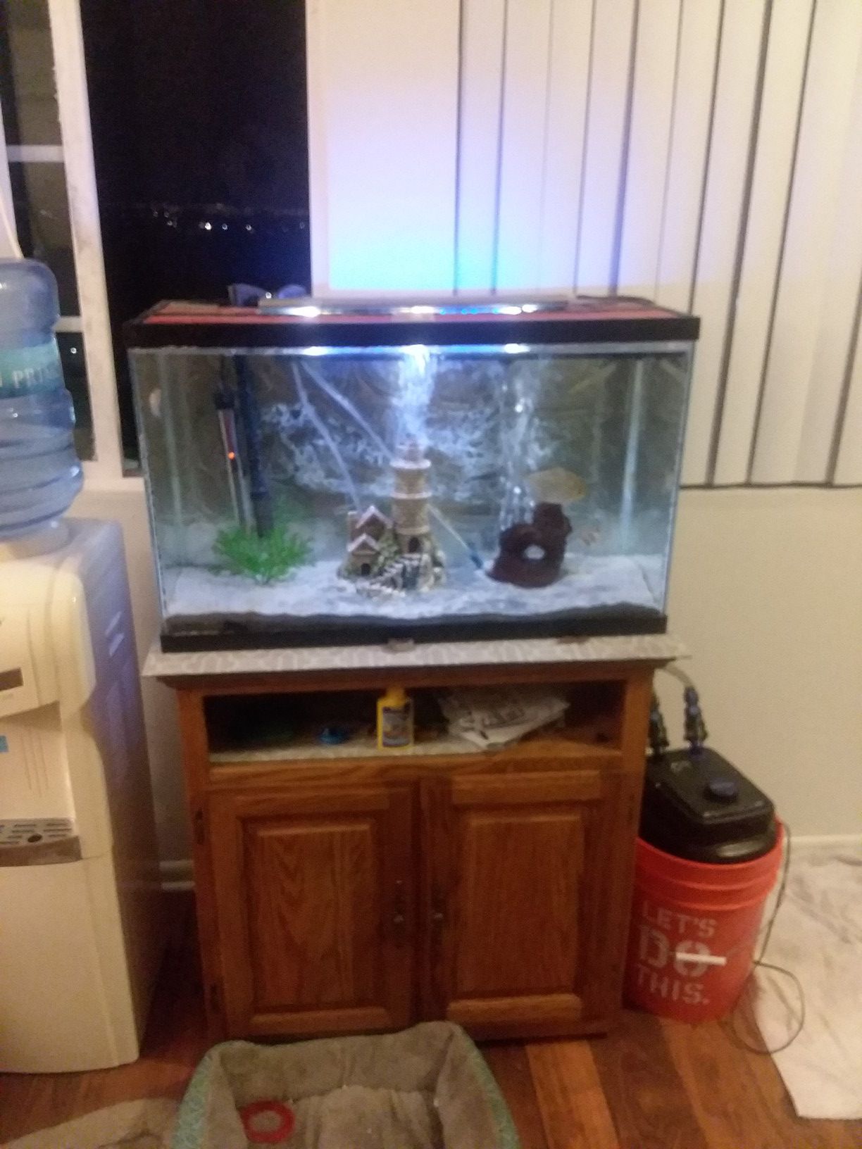 30 gallon aquarium and all equipment