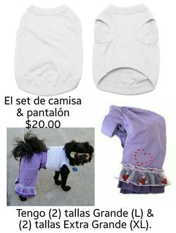 White Pet Shirt with Purple Pants