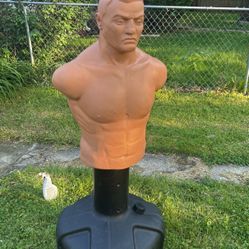 Century Bob Torso Training Bag