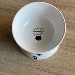 Cat Food Bowl Ceramic 