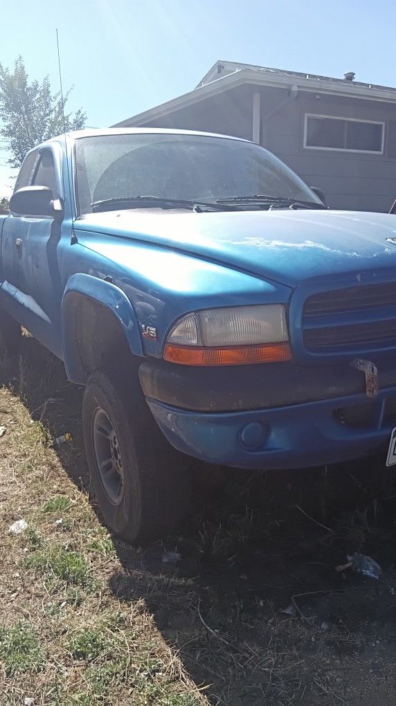 1999 Dodge Dakota