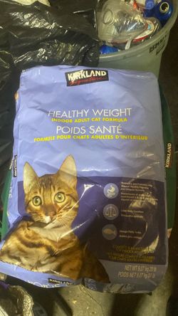 dog food n cat food