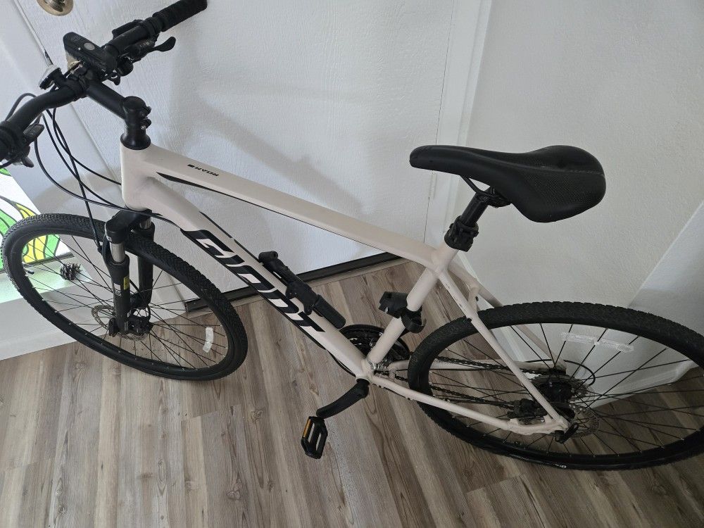 2020 Giant Roam Disc 4 Mountain Bike