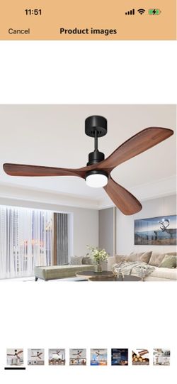 Ceiling Fans with Lights