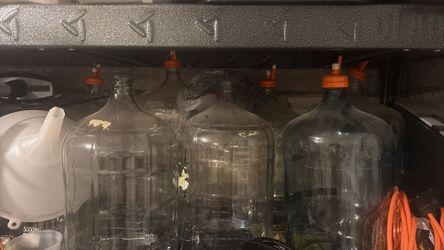Glass Carboys, $25 each, 7 available