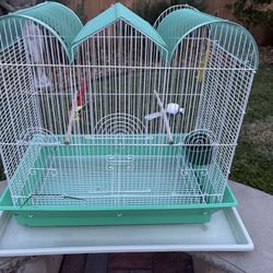 Bird Cage