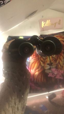 Heavy Duty Binoculars