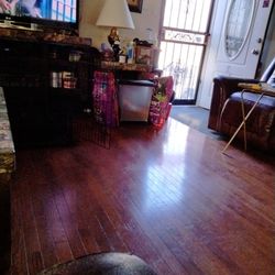 Puppies Supplies 